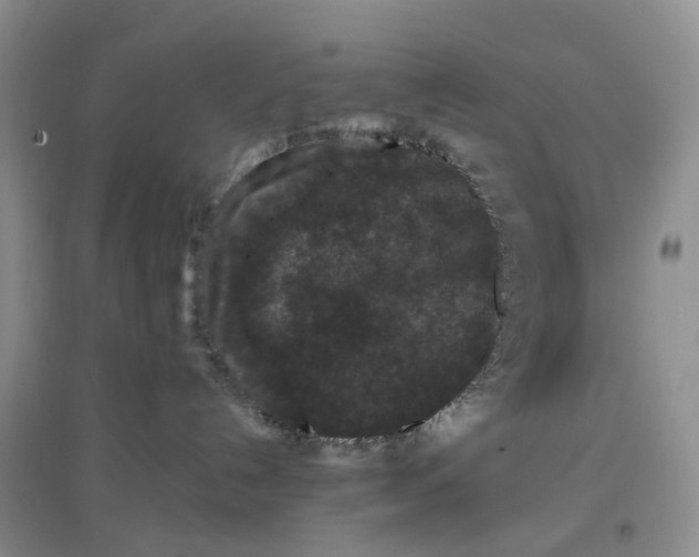 X0000097660192200803142141