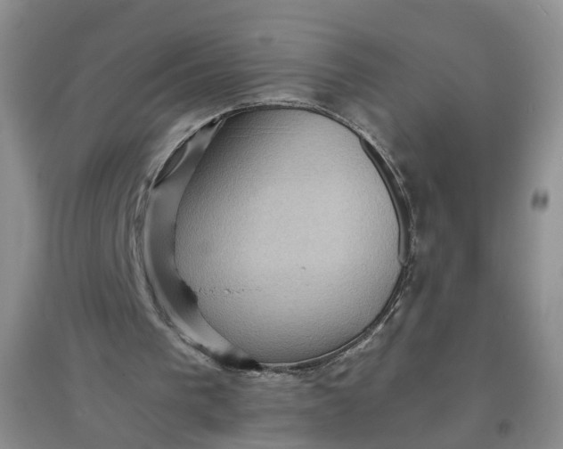 X0000097660193200803142140