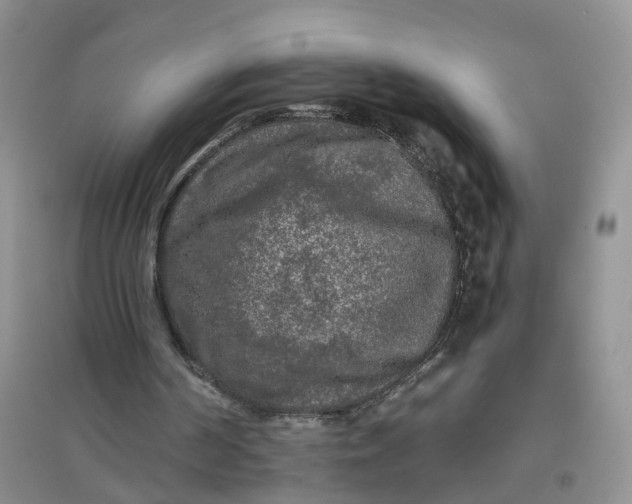 X0000097660194200803142140