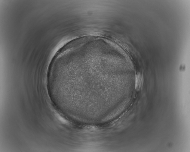 X0000097660195200803142140