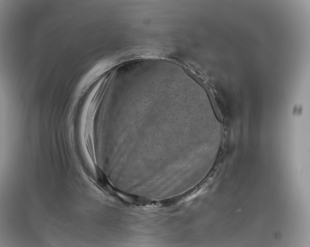 X0000097660197200803142140