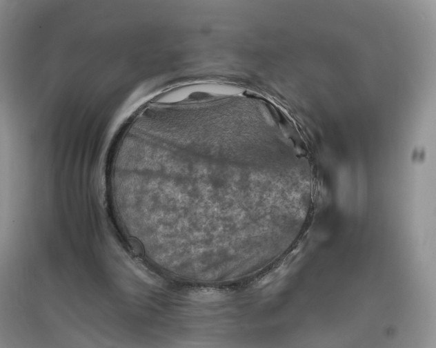 X0000097660198200803142140