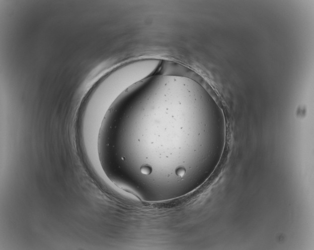 X0000097660199200803142140