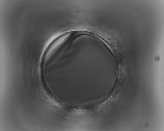 X0000097660200200803142140