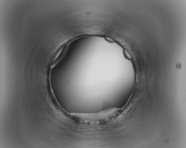 X0000097660201200803142140