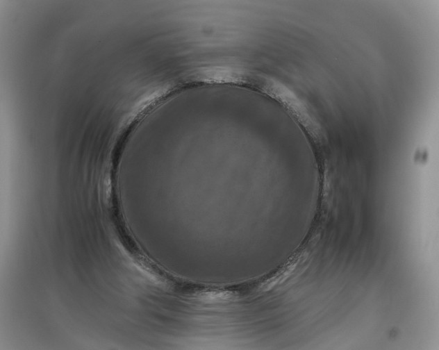 X0000097660202200803142140