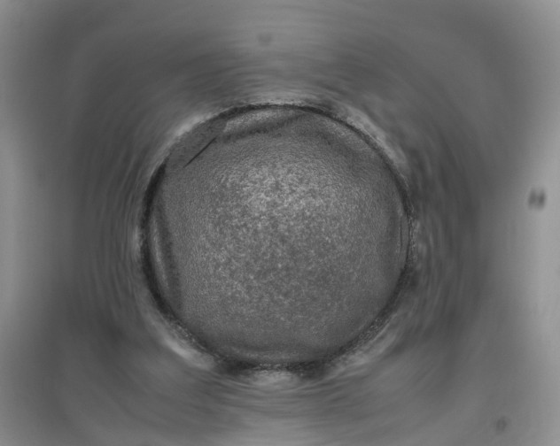 X0000097660203200803142140