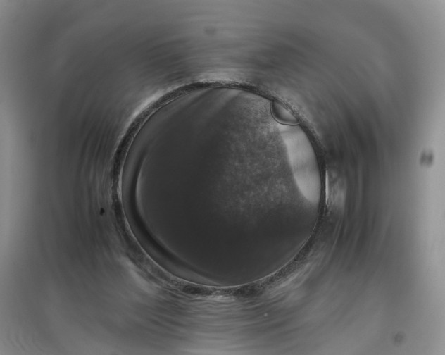 X0000097660204200803142140