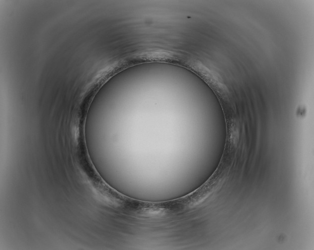 X0000097660206200803142140