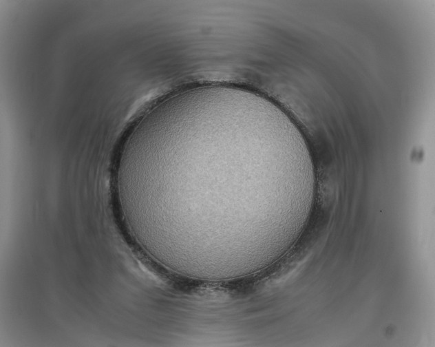 X0000097660207200803142140