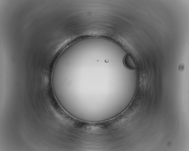 X0000097660208200803142140