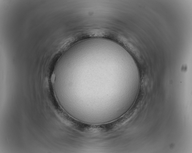X0000097660209200803142140