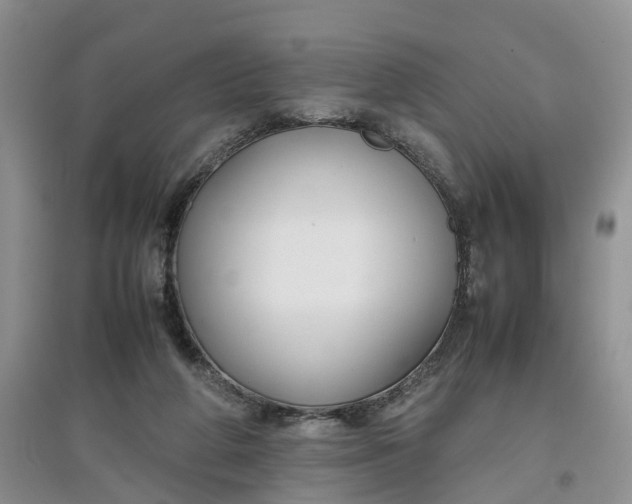 X0000097660210200803142139
