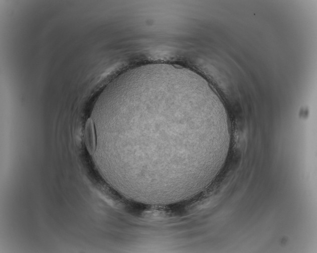 X0000097660211200803142139