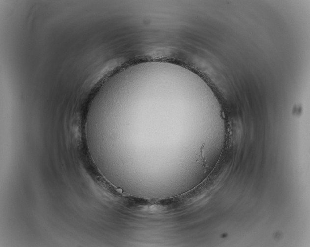 X0000097660212200803142139