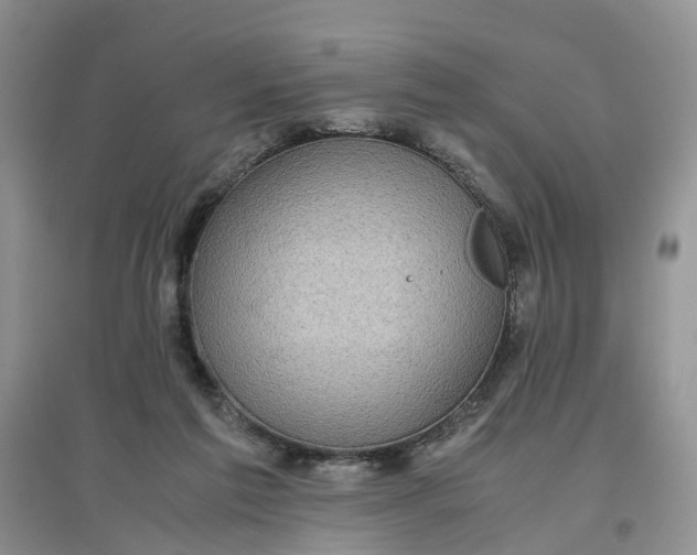 X0000097660213200803142139