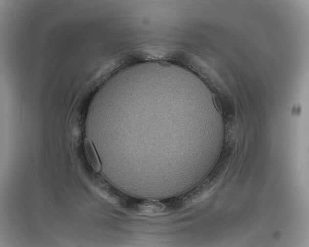 X0000097660215200803142139