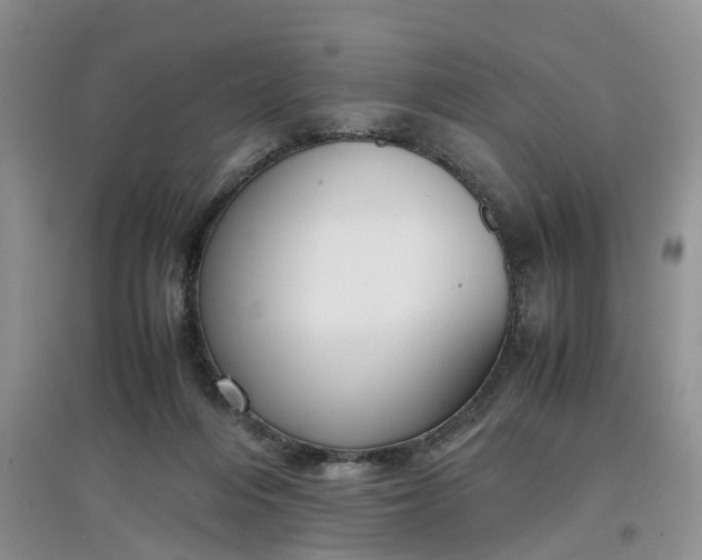 X0000097660216200803142139