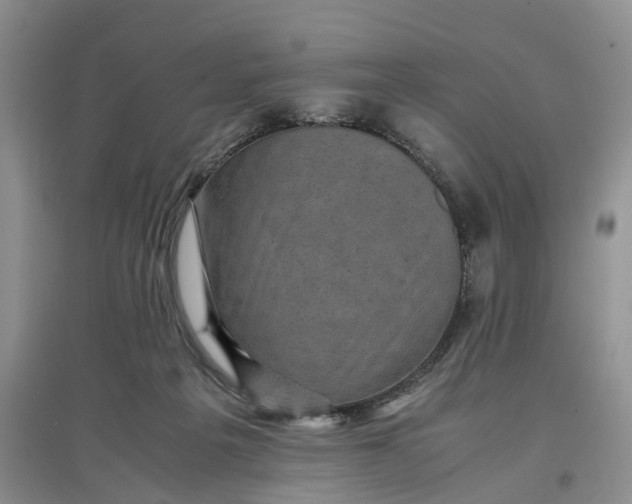 X0000097660217200803142139