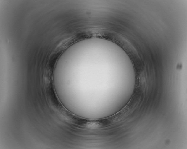 X0000097660218200803142139
