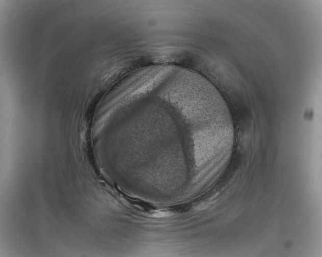 X0000097660219200803142139
