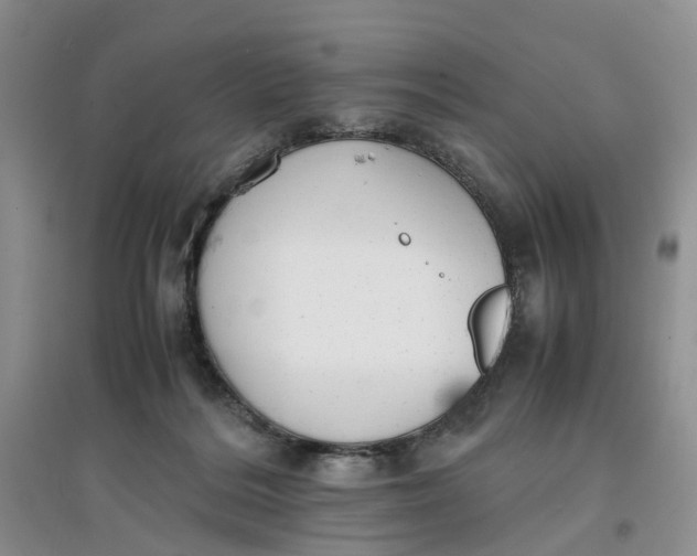 X0000097660220200803142139