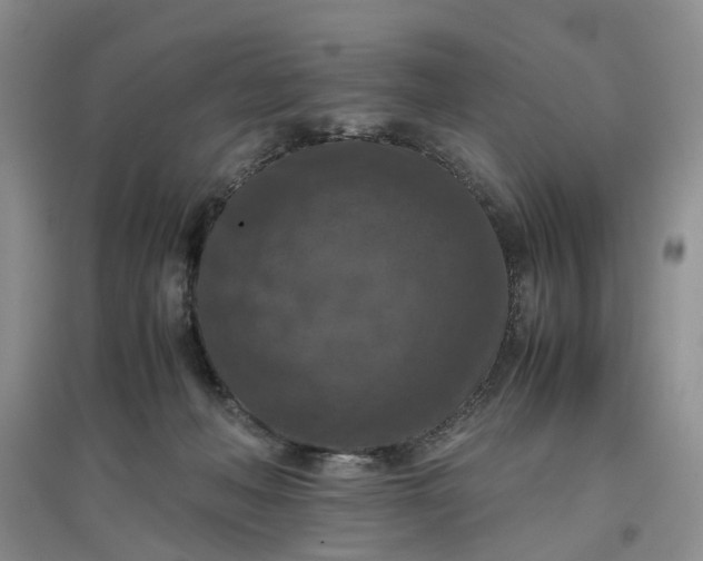 X0000097660222200803142139