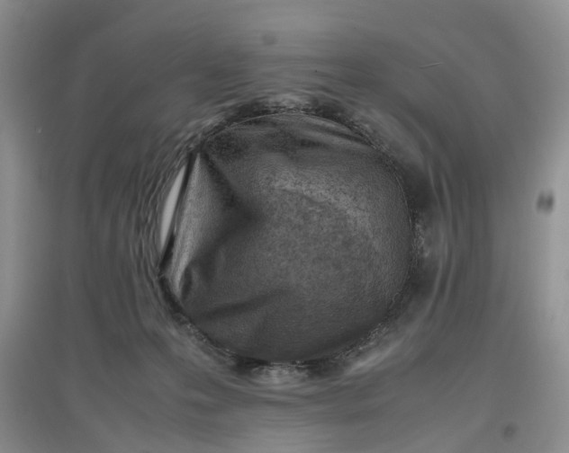 X0000097660223200803142139