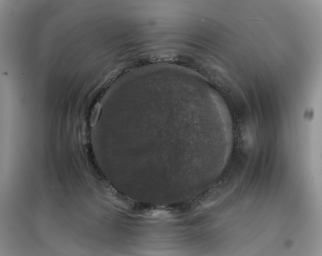 X0000097660224200803142139