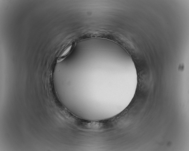 X0000097660225200803142139