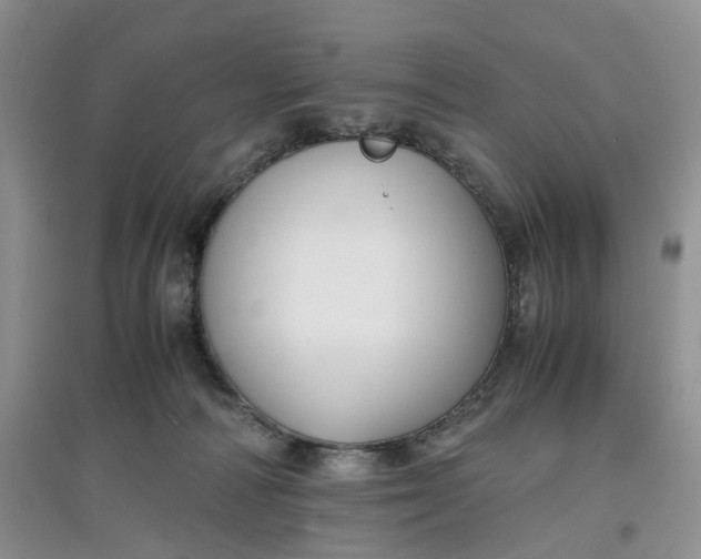 X0000097660226200803142139