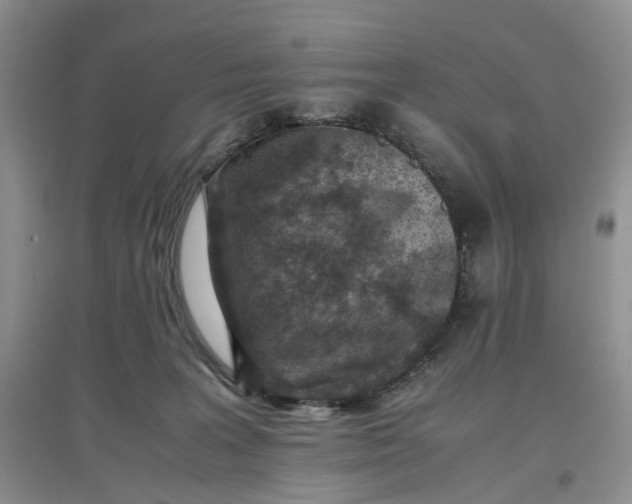 X0000097660227200803142139