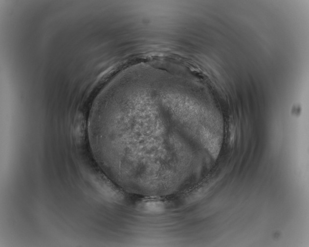 X0000097660228200803142139