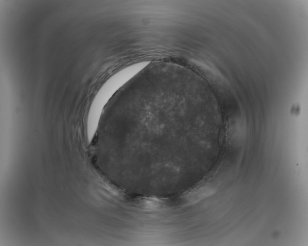 X0000097660229200803142139