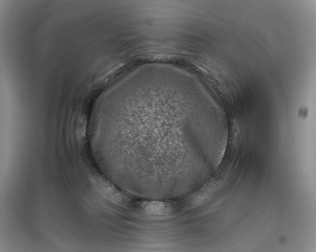 X0000097660230200803142139