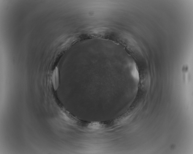 X0000097660231200803142139