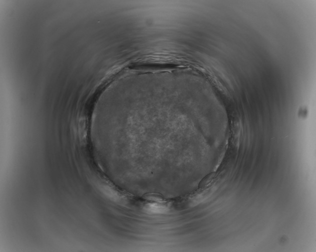 X0000097660232200803142139