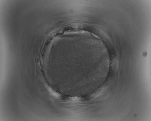 X0000097660233200803142139