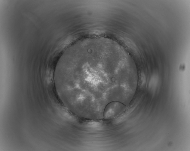 X0000097660236200803142139