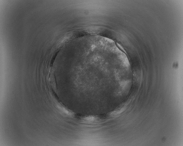 X0000097660237200803142139