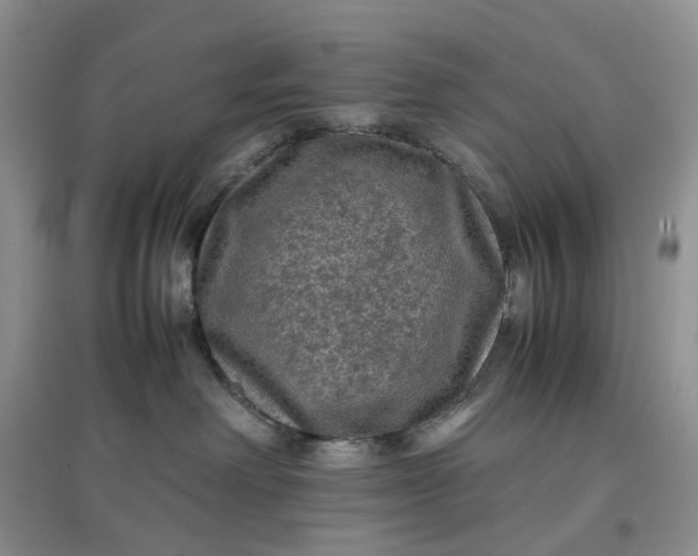 X0000097660238200803142139