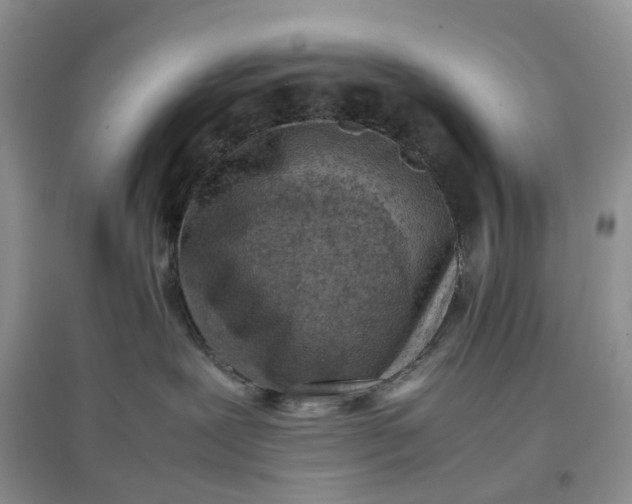 X0000097660239200803142139