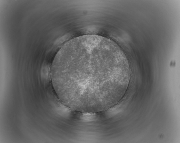 X0000097660240200803142139