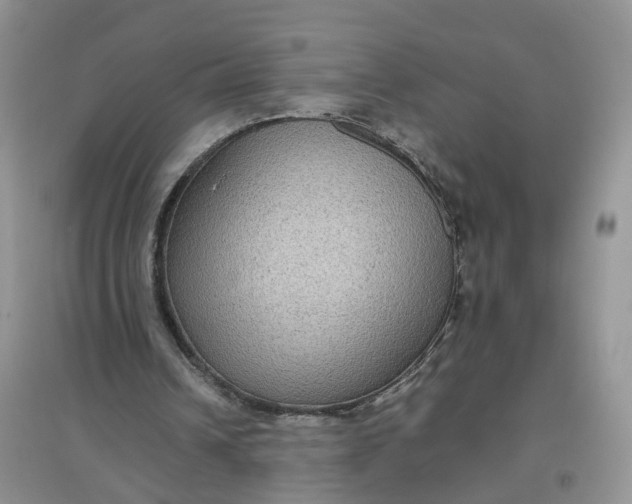X0000097660242200803142138