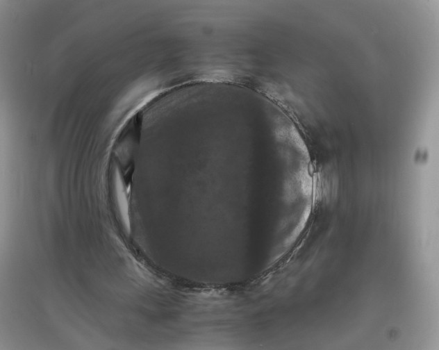 X0000097660243200803142138