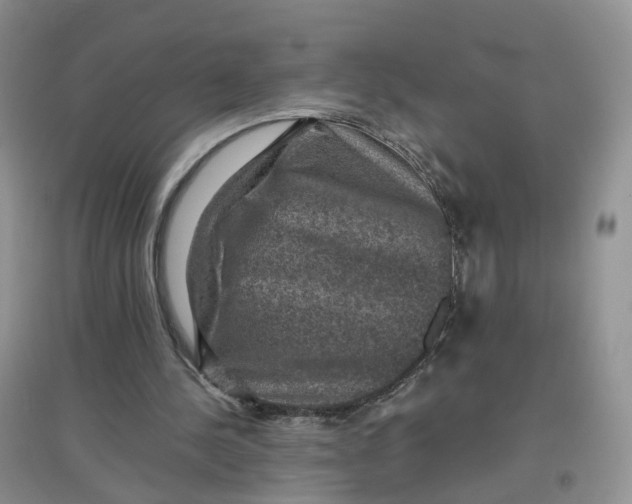 X0000097660244200803142138