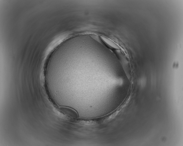 X0000097660245200803142138