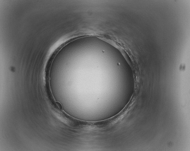 X0000097660246200803142138