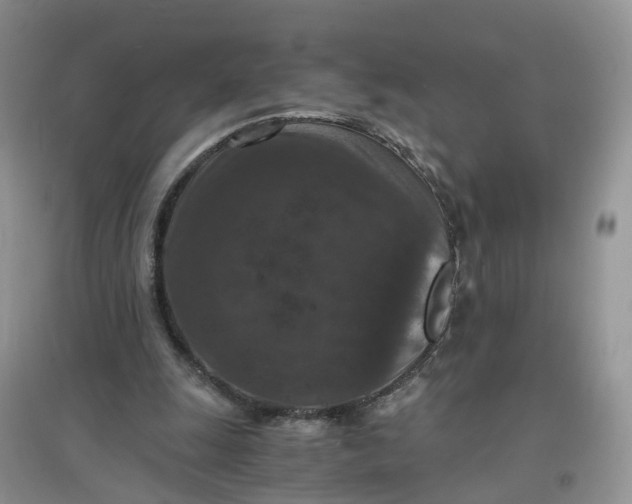 X0000097660247200803142138