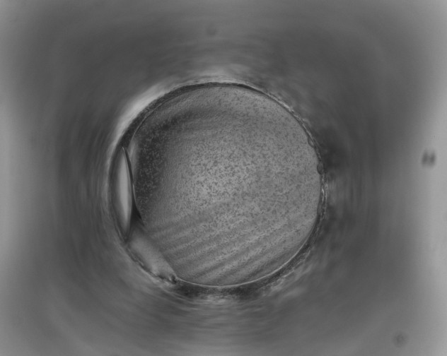X0000097660248200803142138
